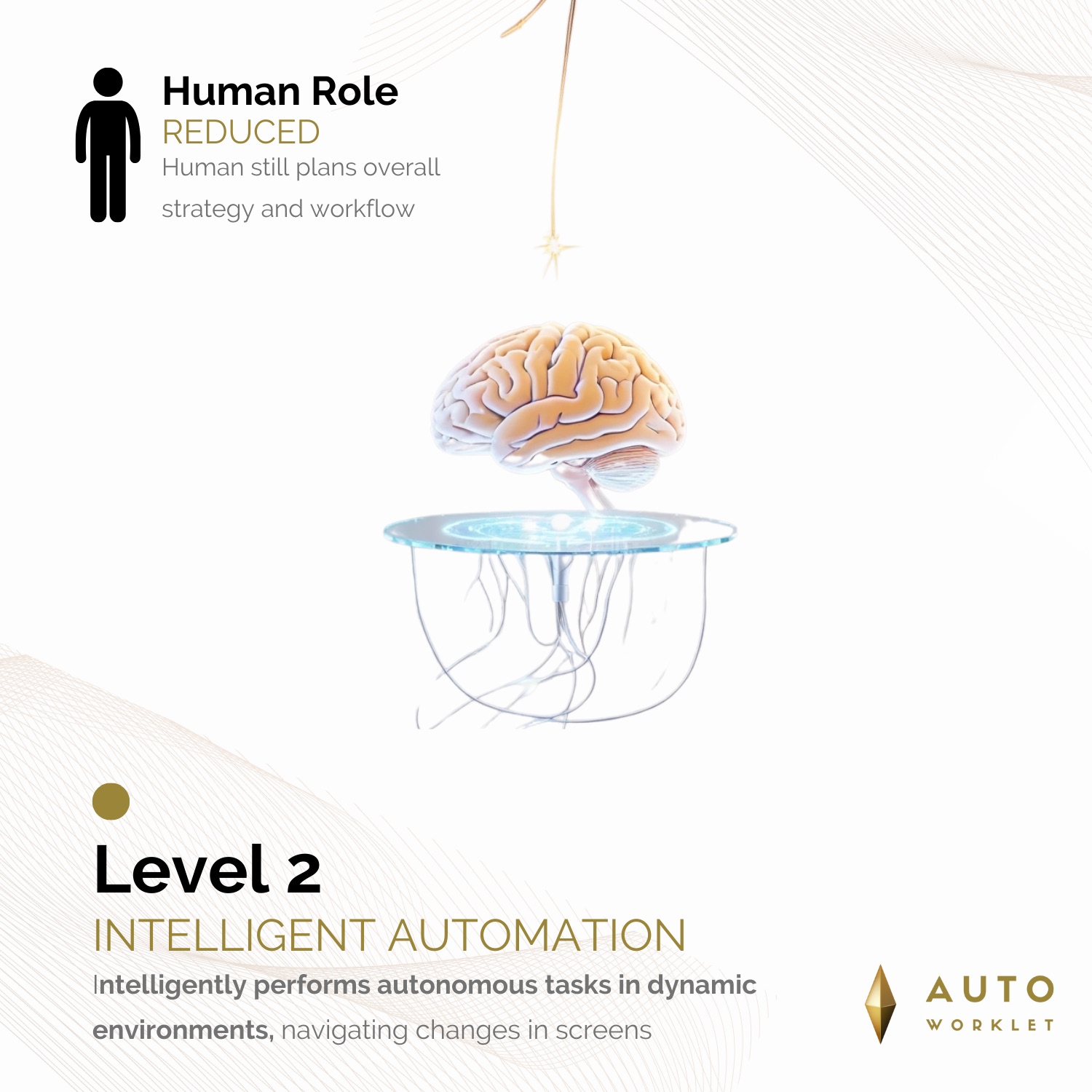 Illustration for Level 2: Intelligent Automation